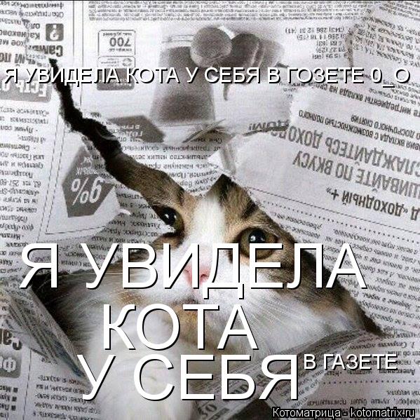 Я УВИДЕЛА КОТА У СЕБЯ В ГАЗЕТЕ Я УВИДЕЛА КОТА У СЕБЯ В ГОЗЕТЕ 0_О... Котоматрица: Я УВИДЕЛА КОТА У СЕБЯ В ГАЗЕТЕ Я УВИДЕЛА КОТА У СЕБЯ В ГОЗЕТЕ 0_О