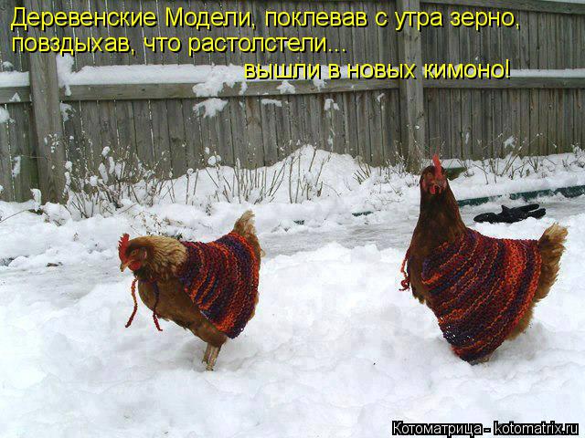 Деревенские Модели, поклевав с утра зерно, повздыхав, что растолстели... вышли в новых кимоно!... Котоматрица: Деревенские Модели, поклевав с утра зерно, повздыхав, что растолстели... вышли в новых кимоно!