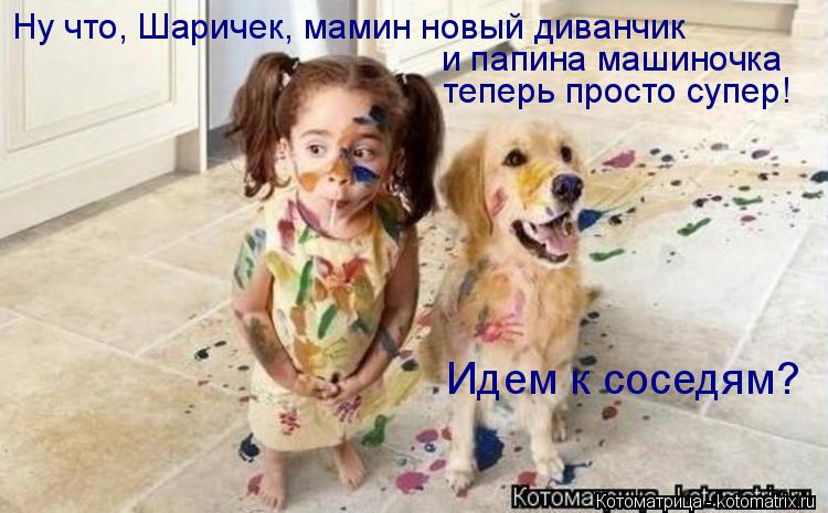Ну что, Шаричек, мамин новый диванчик и папина машиночка теперь просто супер! Идем к соседям?... Котоматрица: Ну что, Шаричек, мамин новый диванчик и папина машиночка теперь просто супер! Идем к соседям?