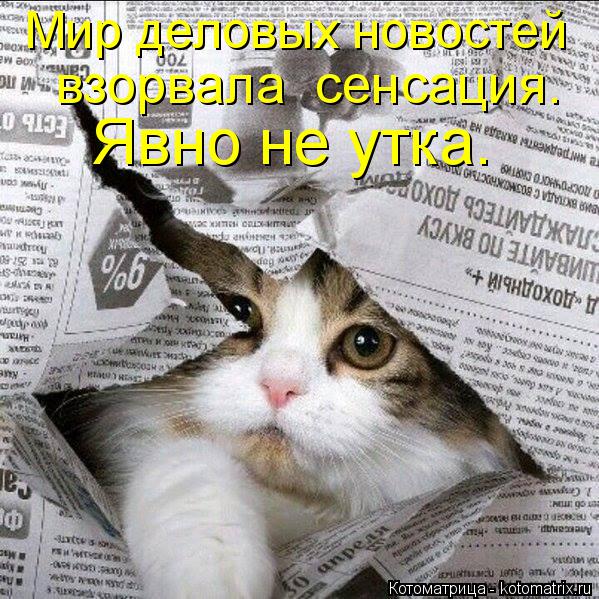 Мир деловых новостей взорвала сенсация. Явно не утка.... Котоматрица: Мир деловых новостей взорвала сенсация. Явно не утка.