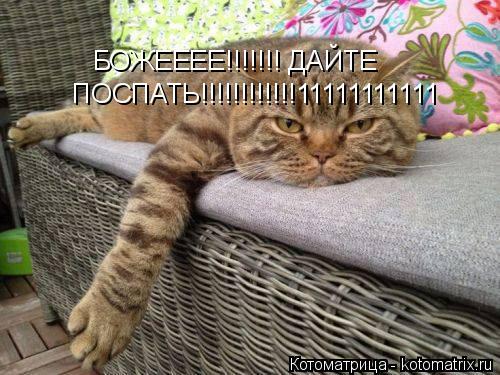 БОЖЕЕЕЕ!!!!!!! ДАЙТЕ ПОСПАТЬ!!!!!!!!!!!!11111111111... Котоматрица: БОЖЕЕЕЕ!!!!!!! ДАЙТЕ ПОСПАТЬ!!!!!!!!!!!!11111111111