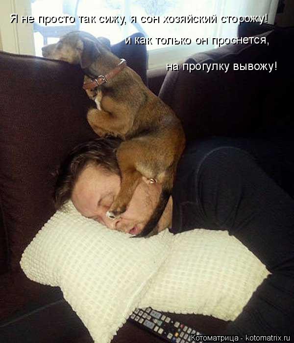 Я не просто так сижу, я сон хозяйский сторожу! и как только он проснется, на прогулку вывожу!... Котоматрица: Я не просто так сижу, я сон хозяйский сторожу! и как только он проснется, на прогулку вывожу!