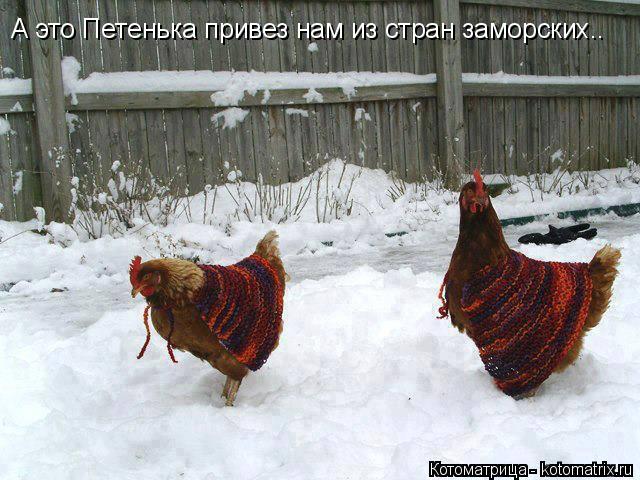 А это Петенька привез нам из стран заморских..... Котоматрица: А это Петенька привез нам из стран заморских..