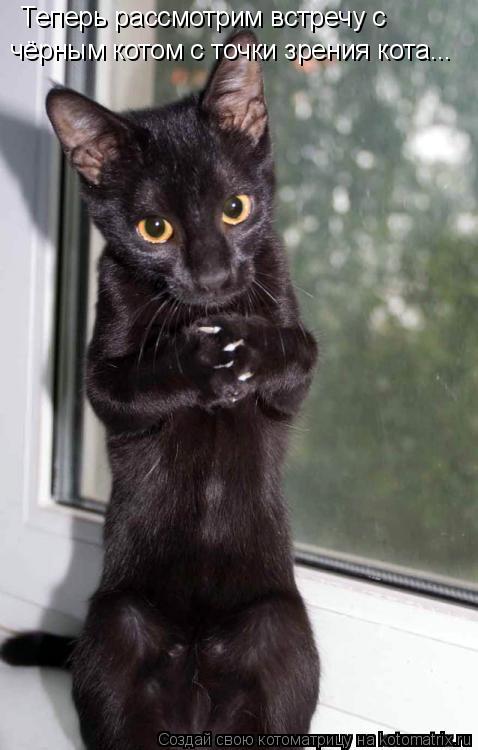 Теперь рассмотрим встречу с чёрным котом с точки зрения кота...... Котоматрица: Теперь рассмотрим встречу с чёрным котом с точки зрения кота...