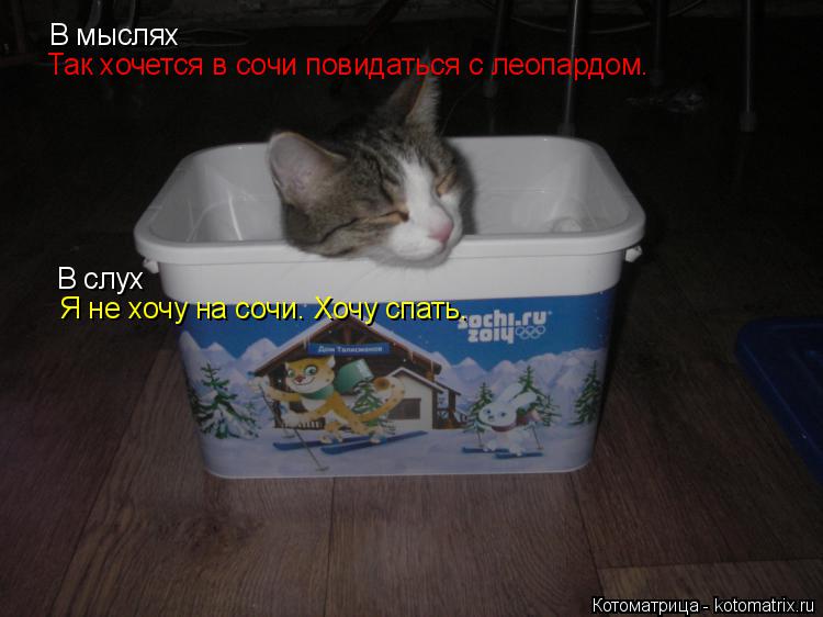 Так хочется в сочи повидаться с леопардом. В мыслях В слух Я не хочу на сочи. Хочу спать.... Котоматрица: Так хочется в сочи повидаться с леопардом. В мыслях В слух Я не хочу на сочи. Хочу спать.