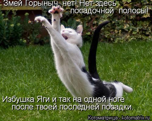 Змей Горыныч, нет! Нет здесь посадочной полосы! Избушка Яги и так на одной ноге после твоей после... Котоматрица: Змей Горыныч, нет! Нет здесь посадочной полосы! Избушка Яги и так на одной ноге после твоей последней посадки.