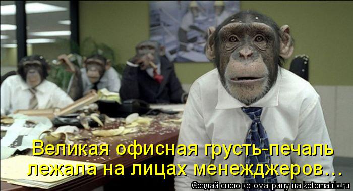 Великая офисная грусть-печаль Великая офисная грусть-печаль лежала на лицах менежджеров… лежала на ли... Котоматрица: Великая офисная грусть-печаль Великая офисная грусть-печаль лежала на лицах менежджеров… лежала на лицах менежджеров…