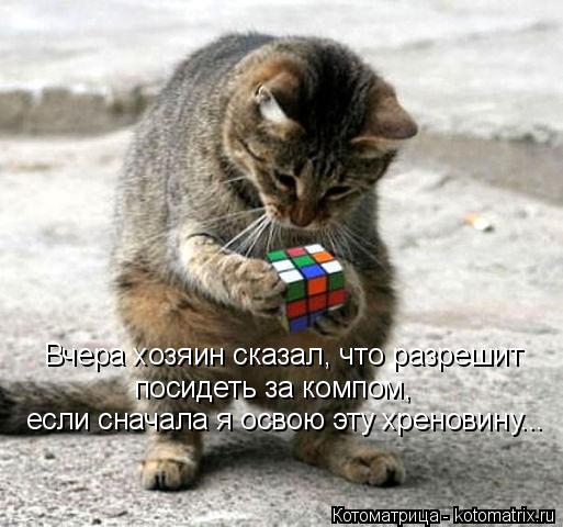 Вчера хозяин сказал, что разрешит посидеть за компом, если сначала я освою эту хреновину...... Котоматрица: Вчера хозяин сказал, что разрешит посидеть за компом, если сначала я освою эту хреновину...