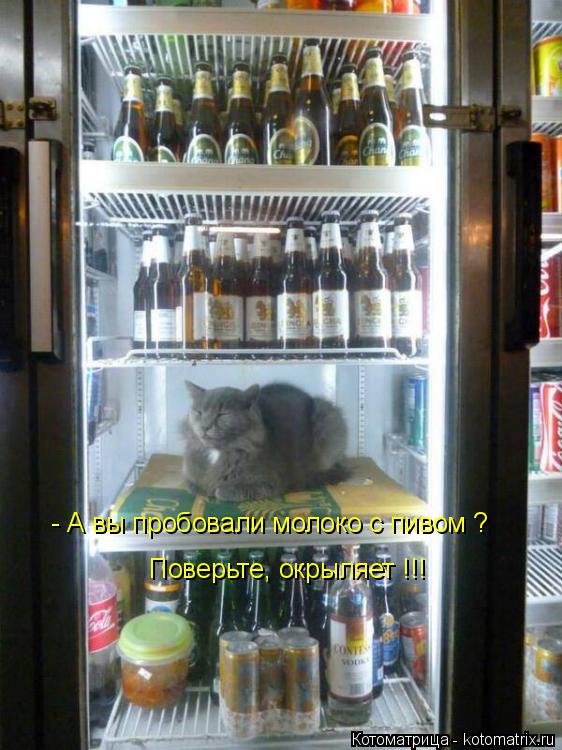 - А вы пробовали молоко с пивом ? Поверьте, окрыляет !!!... Котоматрица: - А вы пробовали молоко с пивом ? Поверьте, окрыляет !!!