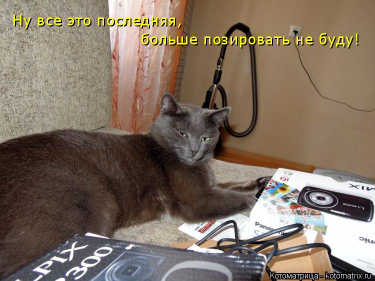 Ну все это последняя, больше позировать не буду!... Котоматрица: Ну все это последняя, больше позировать не буду!
