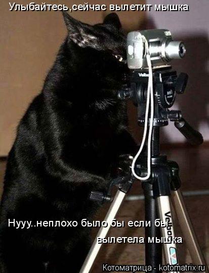 Улыбайтесь,сейчас вылетит мышка Нууу..неплохо было бы если бы вылетела мышка... Котоматрица: Улыбайтесь,сейчас вылетит мышка Нууу..неплохо было бы если бы вылетела мышка