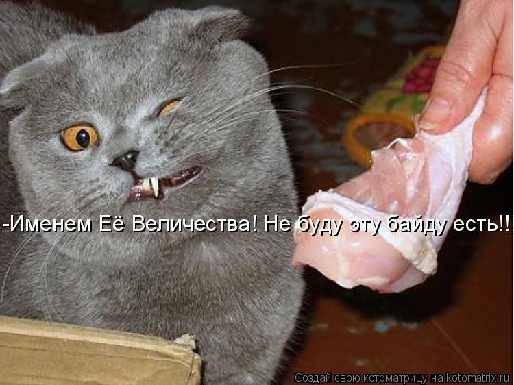 -Именем Её Величества! Не буду эту байду есть!!!... Котоматрица: -Именем Её Величества! Не буду эту байду есть!!!