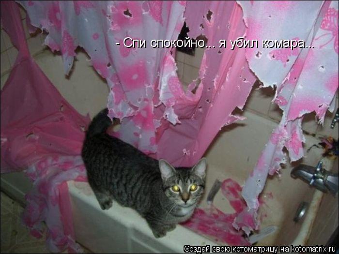 - Спи спокойно... я убил комара...... Котоматрица: - Спи спокойно... я убил комара...