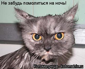 Не забудь помолиться на ночь!... Котоматрица: Не забудь помолиться на ночь!