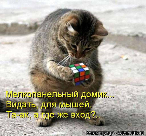 Мелкопанельный домик... Видать, для мышей. Та-ак, а где же вход?..... Котоматрица: Мелкопанельный домик... Видать, для мышей. Та-ак, а где же вход?..