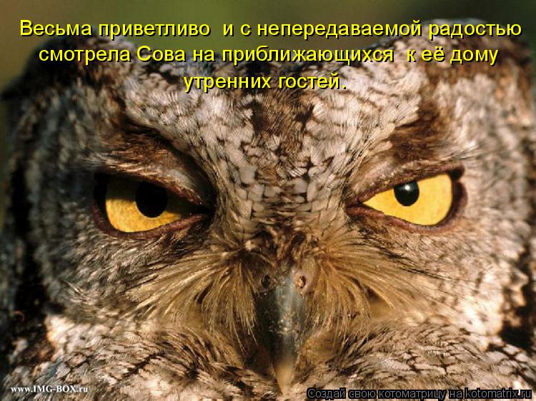Весьма приветливо и с непередаваемой радостью смотрела Сова на приближающихся к её дому утренних ... Котоматрица: Весьма приветливо и с непередаваемой радостью смотрела Сова на приближающихся к её дому утренних гостей.