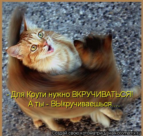 - Для Крути нужно ВКРУЧИВАТЬСЯ! А ты - ВЫкручиваешься....... Котоматрица: - Для Крути нужно ВКРУЧИВАТЬСЯ! А ты - ВЫкручиваешься....