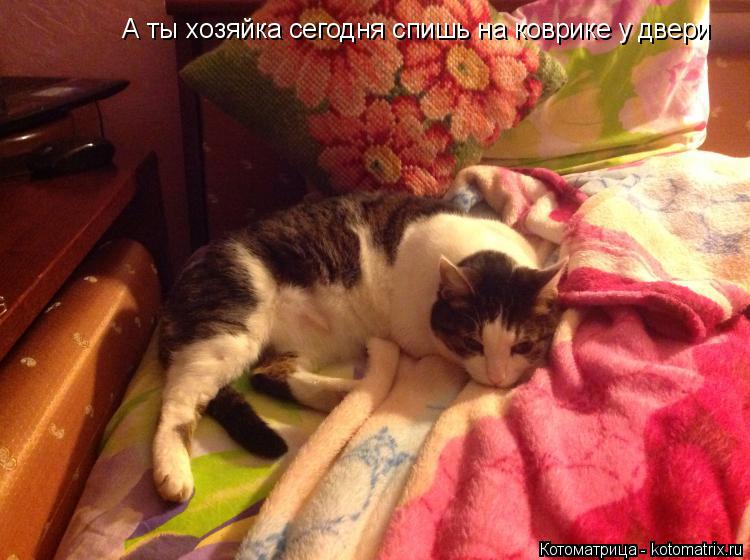 Котоматрица: А ты хозяйка сегодня спишь на коврике у двери