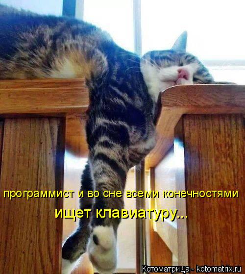 программист и во сне всеми конечностями ищет клавиатуру...... Котоматрица: программист и во сне всеми конечностями ищет клавиатуру...