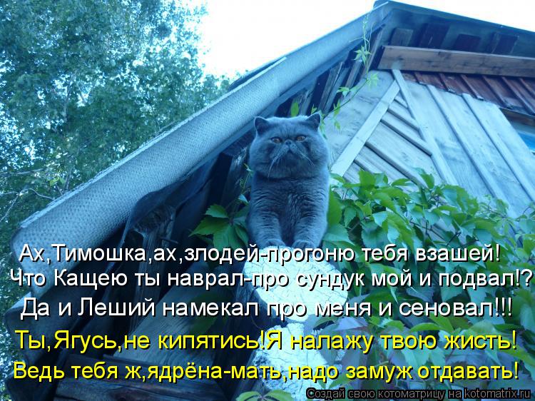 Ах,Тимошка,ах,злодей-прогоню тебя взашей! Да и Леший намекал про меня и сеновал!!! Ты,Ягусь,не кипяти... Котоматрица: Ах,Тимошка,ах,злодей-прогоню тебя взашей! Да и Леший намекал про меня и сеновал!!! Ты,Ягусь,не кипятись!Я налажу твою жисть! Что Кащею ты навра