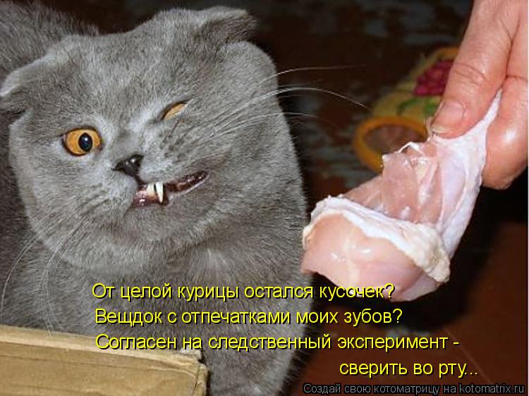 Вещдок с отпечатками моих зубов? От целой курицы остался кусочек? Согласен на следственный эксперимен... Котоматрица: Вещдок с отпечатками моих зубов? От целой курицы остался кусочек? Согласен на следственный эксперимент - сверить во рту...