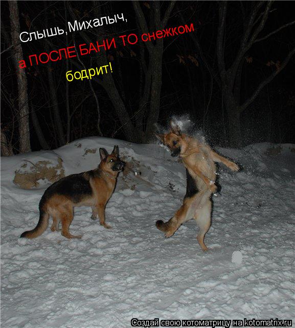 Слышь,Михалыч, а ПОСЛЕ БАНИ ТО снежком бодрит!... Котоматрица: Слышь,Михалыч, а ПОСЛЕ БАНИ ТО снежком бодрит!