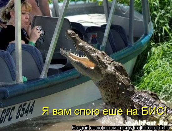 Я вам спою ешё на БИС!... Котоматрица: Я вам спою ешё на БИС!