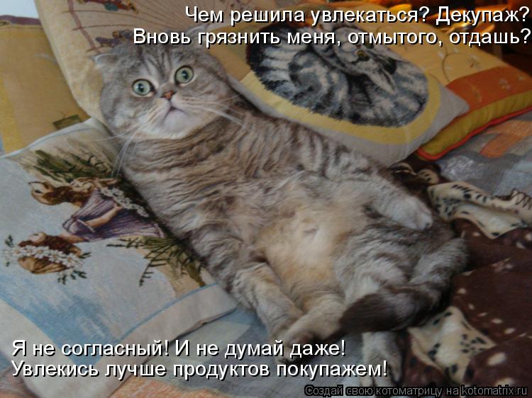 Вновь грязнить меня, отмытого, отдашь? Чем решила увлекаться? Декупаж? Увлекись лучше продуктов покуп... Котоматрица: Вновь грязнить меня, отмытого, отдашь? Чем решила увлекаться? Декупаж? Увлекись лучше продуктов покупажем! Я не согласный! И не думай даже!