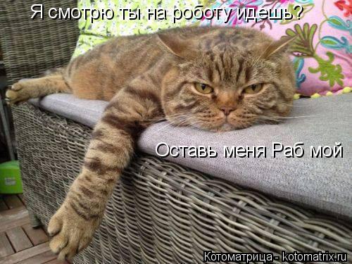 Я смотрю ты на роботу идешь? Оставь меня Раб мой... Котоматрица: Я смотрю ты на роботу идешь? Оставь меня Раб мой