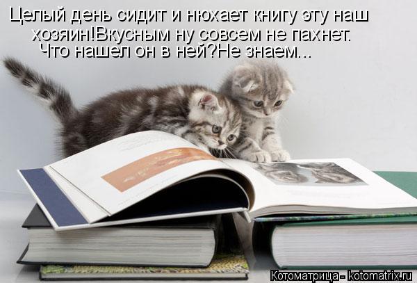 Целый день сидит и нюхает книгу эту наш хозяин!Вкусным ну совсем не пахнет. Что нашел он в ней?Не зна... Котоматрица: Целый день сидит и нюхает книгу эту наш хозяин!Вкусным ну совсем не пахнет. Что нашел он в ней?Не знаем...