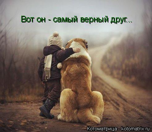 Вот он - самый верный друг...... Котоматрица: Вот он - самый верный друг...