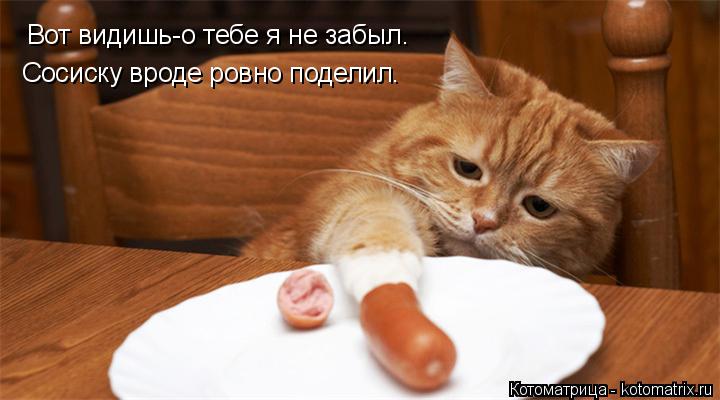 Вот видишь-о тебе я не забыл. Сосиску вроде ровно поделил.... Котоматрица: Вот видишь-о тебе я не забыл. Сосиску вроде ровно поделил.