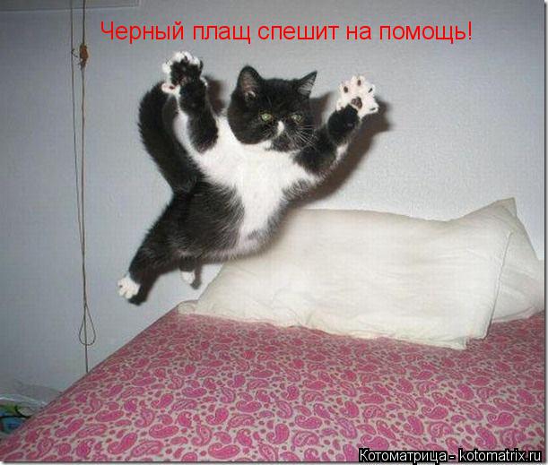 Черный плащ спешит на помощь!... Котоматрица: Черный плащ спешит на помощь!