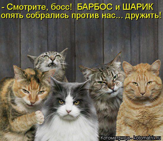 Котоматрица: - Смотрите, босс!  БАРБОС и ШАРИК опять собрались против нас... дружить!