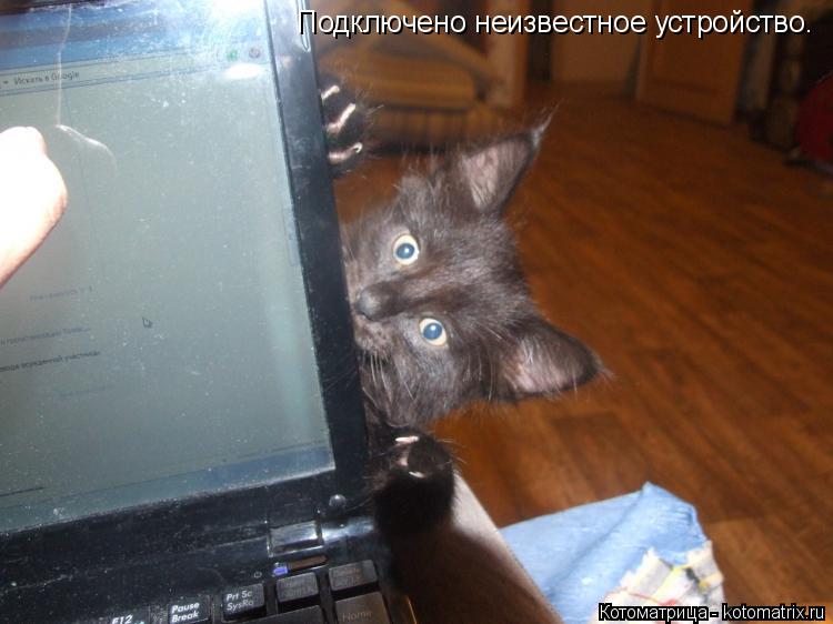 Котоматрица: Подключено неизвестное устройство.