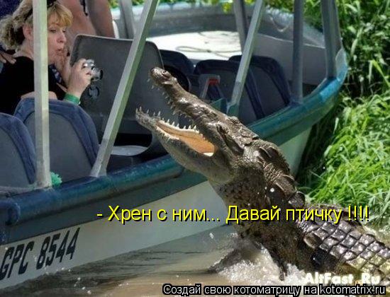 - Хрен с ним... Давай птичку !!!!... Котоматрица: - Хрен с ним... Давай птичку !!!!