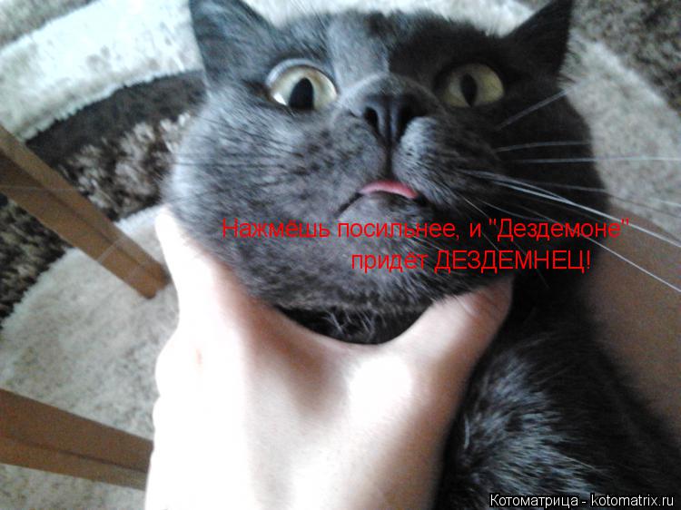 Нажмёшь посильнее, и "Дездемоне" придёт ДЕЗДЕМНЕЦ!... Котоматрица: Нажмёшь посильнее, и "Дездемоне" придёт ДЕЗДЕМНЕЦ!