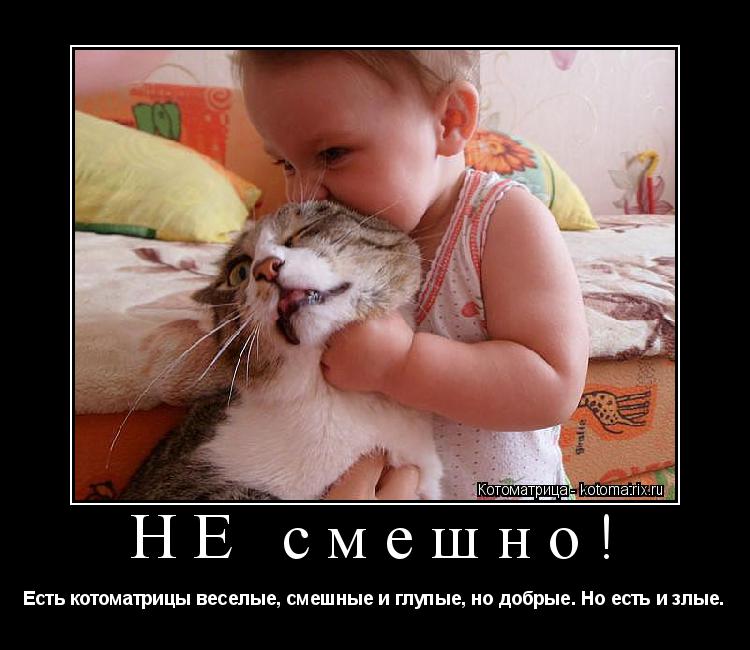 НЕ смешно! Есть котоматрицы веселые, смешные и глупые, но добрые. Но есть и злые.... Котоматрица: НЕ смешно! Есть котоматрицы веселые, смешные и глупые, но добрые. Но есть и злые.