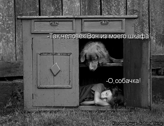 -О,собачка! -Так,человек!Вон из моего шкафа!... Котоматрица: -О,собачка! -Так,человек!Вон из моего шкафа!
