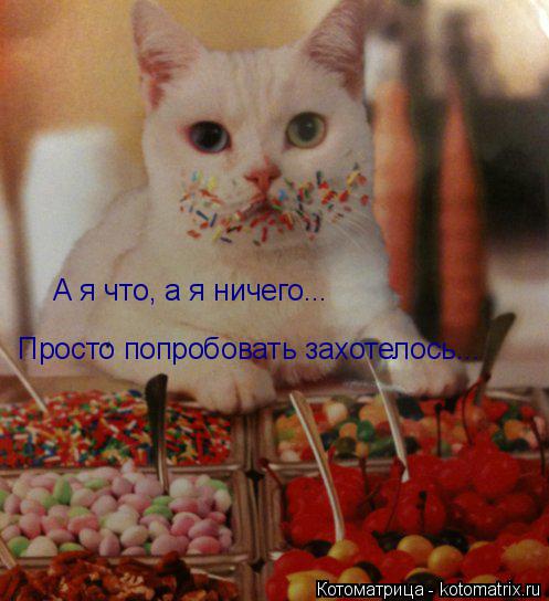 А я что, а я ничего... Просто попробовать захотелось...... Котоматрица: А я что, а я ничего... Просто попробовать захотелось...