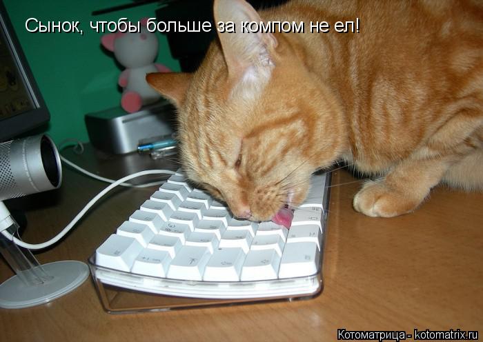 Сынок, чтобы больше за компом не ел!... Котоматрица: Сынок, чтобы больше за компом не ел!