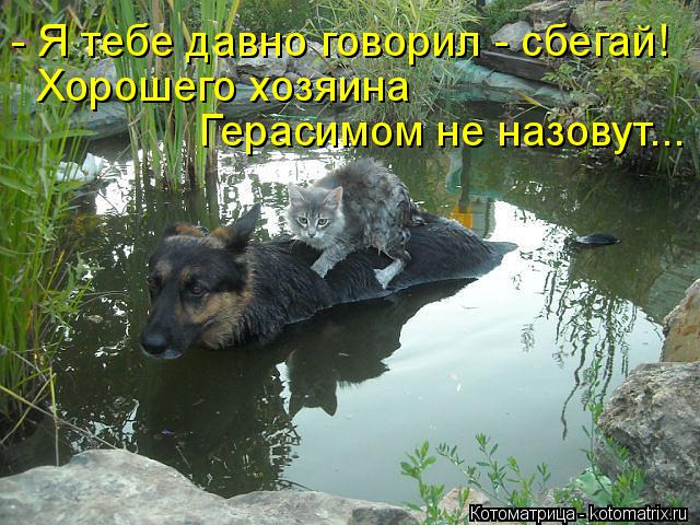 - Я тебе давно говорил - сбегай! Хорошего хозяина Герасимом не назовут...... Котоматрица: - Я тебе давно говорил - сбегай! Хорошего хозяина Герасимом не назовут...