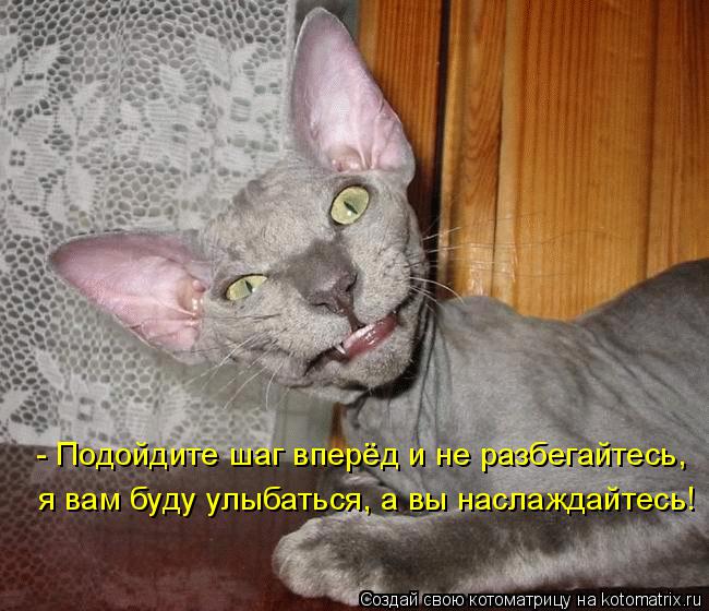 я вам буду улыбаться, а вы наслаждайтесь! - Подойдите шаг вперёд и не разбегайтесь,... Котоматрица: я вам буду улыбаться, а вы наслаждайтесь! - Подойдите шаг вперёд и не разбегайтесь,