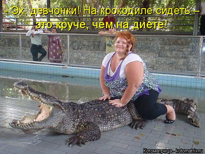 - Эх, девчонки! На крокодиле сидеть – это круче, чем на диете!... Котоматрица: - Эх, девчонки! На крокодиле сидеть – это круче, чем на диете!