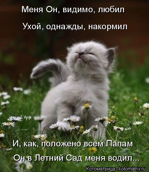 Ухой, однажды, накормил Меня Он, видимо, любил И, как, положено всем Папам Он в Летний Сад меня водил... Котоматрица: Ухой, однажды, накормил Меня Он, видимо, любил И, как, положено всем Папам Он в Летний Сад меня водил...
