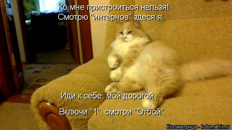 Ко мне пристроиться нельзя! Смотрю "интернов" здеся я. Иди к себе, мой дорогой Включи "1", смотри "О... Котоматрица: Ко мне пристроиться нельзя! Смотрю "интернов" здеся я. Иди к себе, мой дорогой Включи "1", смотри "Отбой". ,