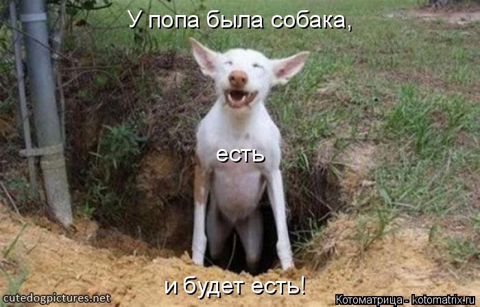 У попа была собака, есть и будет есть!... Котоматрица: У попа была собака, есть и будет есть!