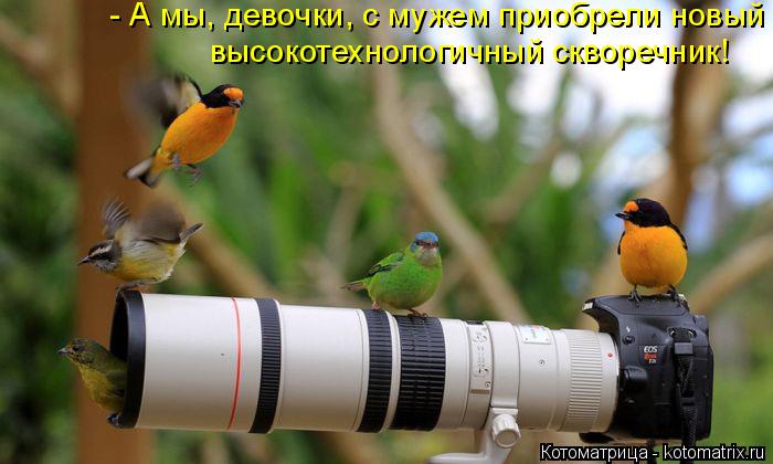- А мы, девочки, с мужем приобрели новый высокотехнологичный скворечник!... Котоматрица: - А мы, девочки, с мужем приобрели новый высокотехнологичный скворечник!