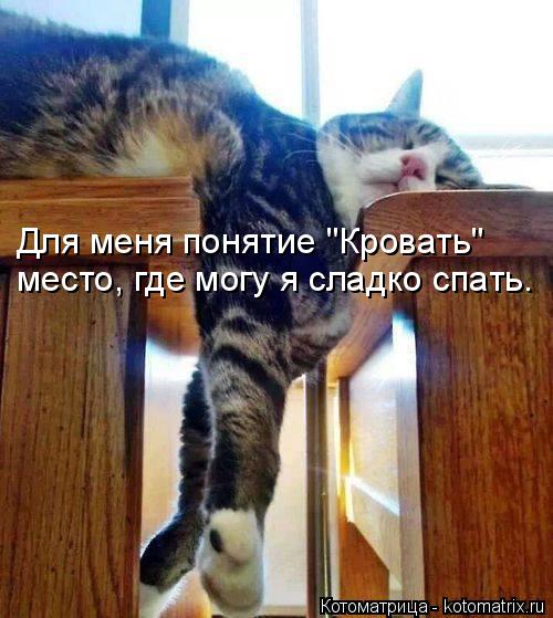 место, где могу я сладко спать. Для меня понятие "Кровать"... Котоматрица: место, где могу я сладко спать. Для меня понятие "Кровать"