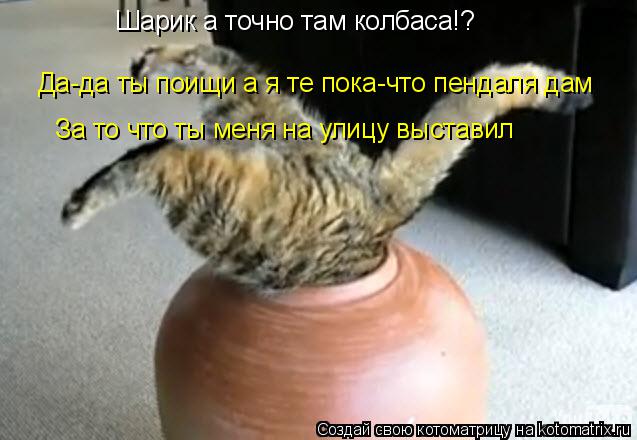 Котоматрица: Шарик а точно там колбаса!? Да-да ты поищи а я те пока-что пендаля дам За то что ты меня на улицу выставил